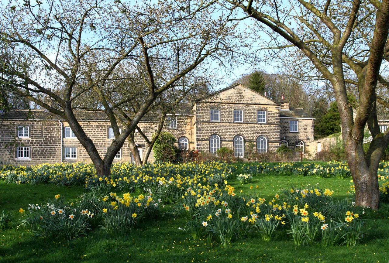 Harewood Estate Cottages エクステリア 写真